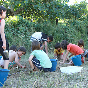 arqueología Calabacino